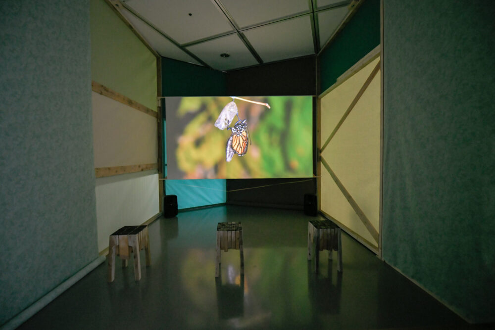 Jo Lathwood, The Belief of Things Disappearing, (2023), MIRROR Gallery. Photograph Paul Blakemore