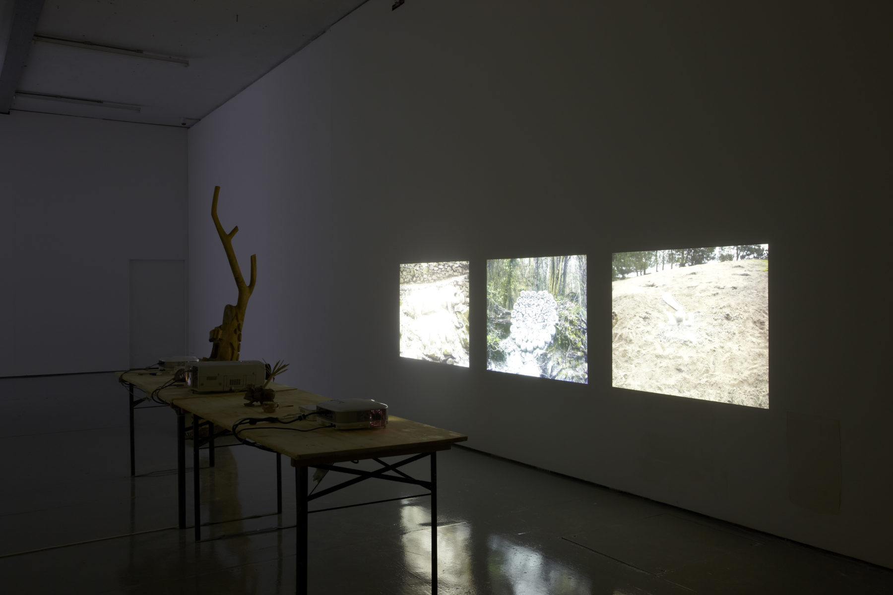 Installation view of Crêpe Suzette, (2012). An abstract wooden carving sits next to three projections of a woodland scene.