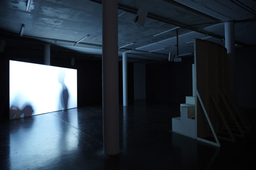 Installation view of Jesse Jones The Struggle Against Ourselves (2012). A projection of a blurred person plays in a dimly lit gallery.