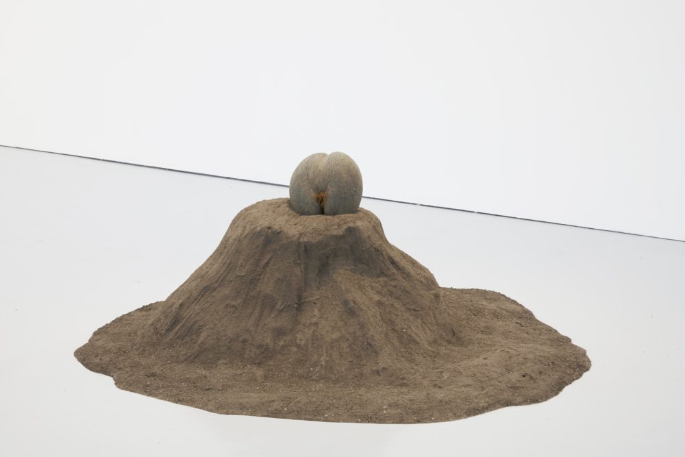 Nina Beier, Female Nude (2015) Lodoicea seed, fertilized dirt. Installation view, European Interiors (2018) Spike Island. Photograph by Stuart Whipps