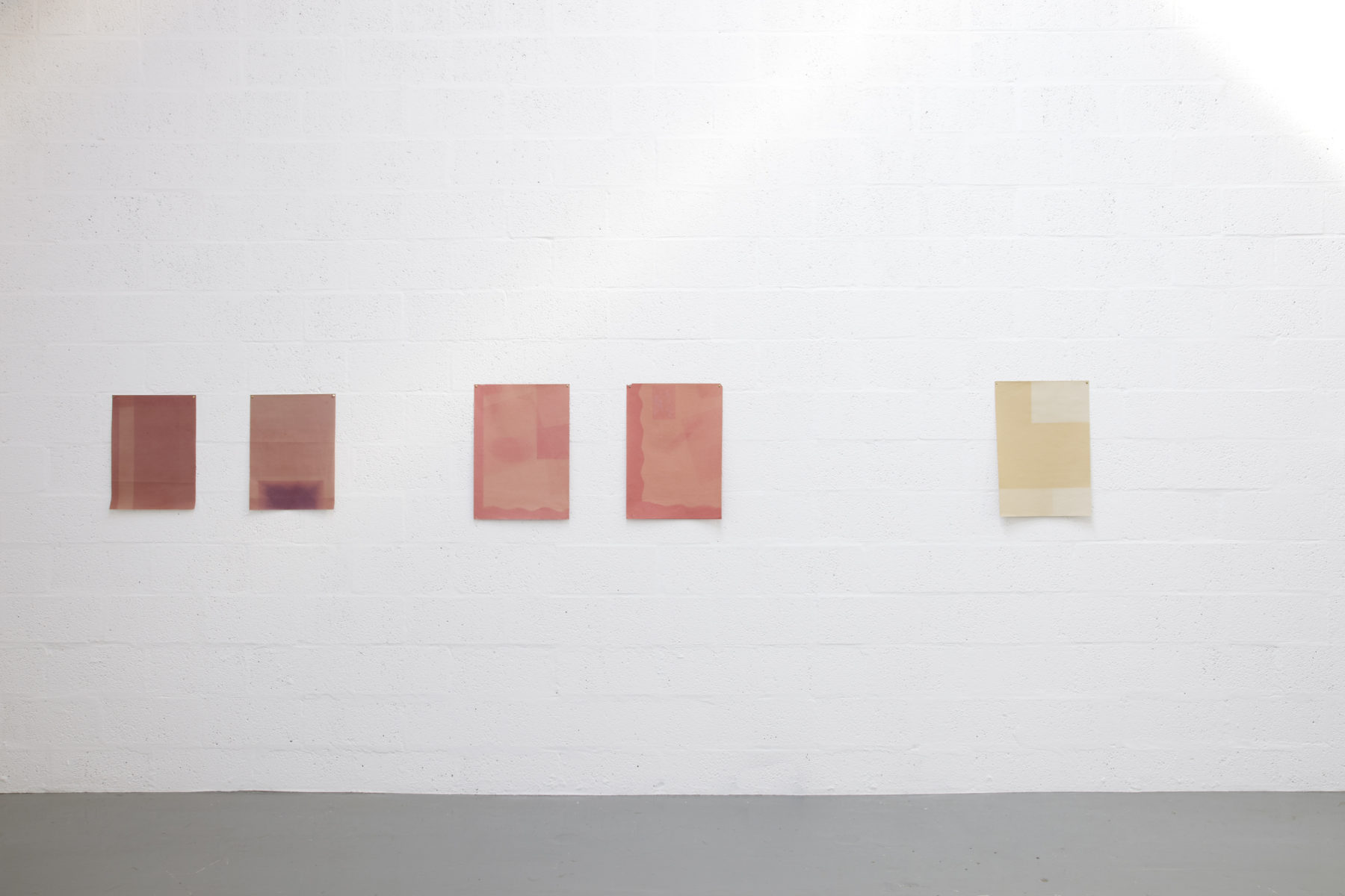 Installation view of Sara MacKillop, Faded Paper (2011). Five sheets of sugar paper, faded by the sun, are pinned to the white gallery wall.