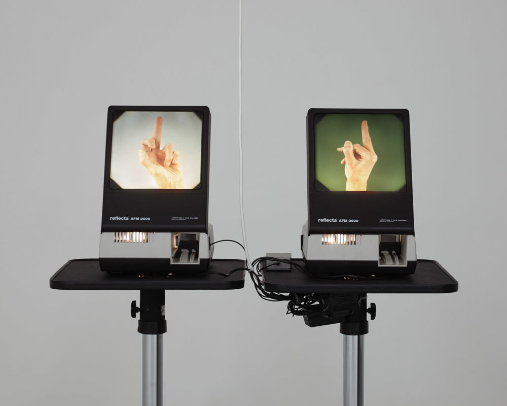 Two different screens in the gallery show two different slides. On the left, is a photograph taken of an extended middle finger, on the right is the same but taken from a different angle.