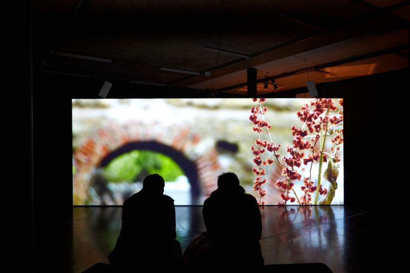 Installation view of Uriel Orlow, Back to Back (2013). Two visitors sit on a bench watching a film. There are flowers in focus in the foreground, the background of the film is blurred.