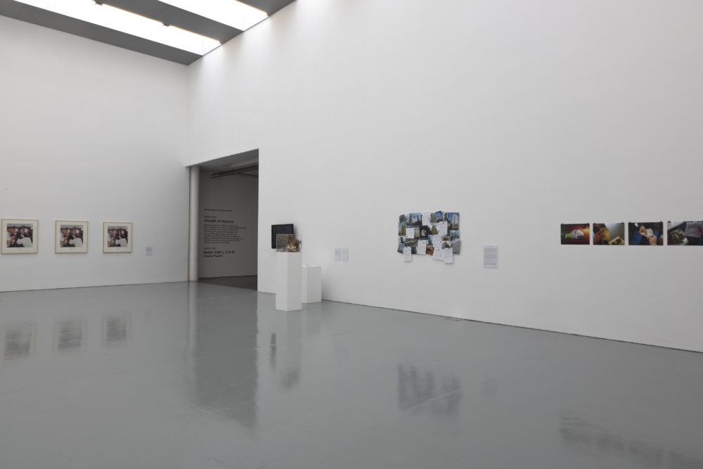 Installation view of Wealth of Nations (2010). The gallery is light and the walls are white. Pictures hang on the walls and a plinth has a sculpture made from twigs atop it.