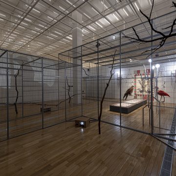 Young In Hong, To Paint the Portrait of a Bird (2019) Metal cage, video projection, wood, sound