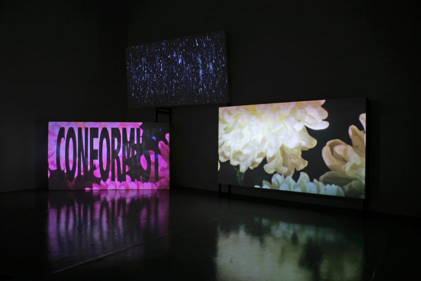 Amanda Beech, Sanity Assassin. Installation view, Spike Island, Bristol (2010) Photograph by Stuart Bunce