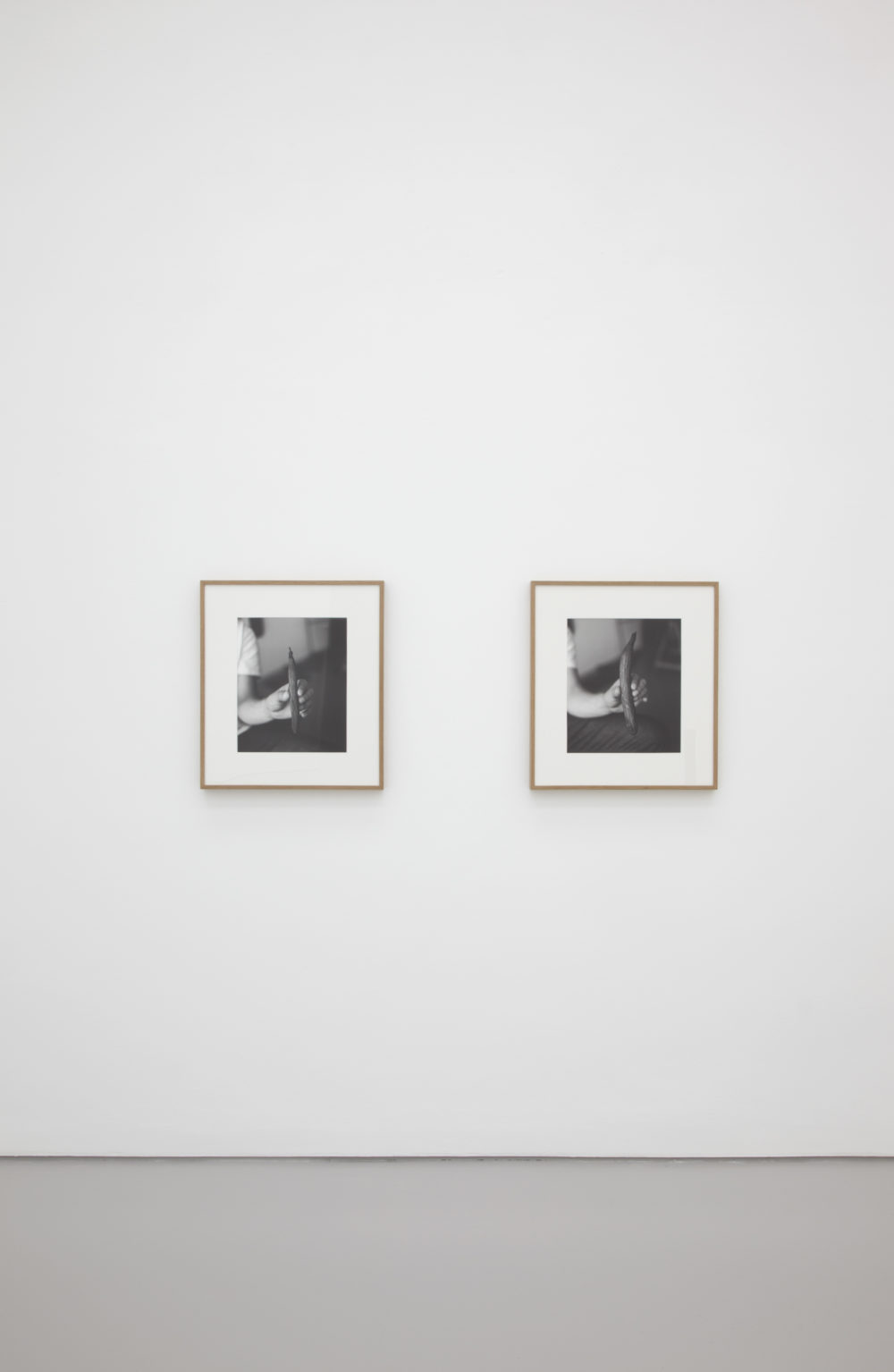 Becky Beasley, Spring Rain (2013) installation view, Spike Island, Bristol