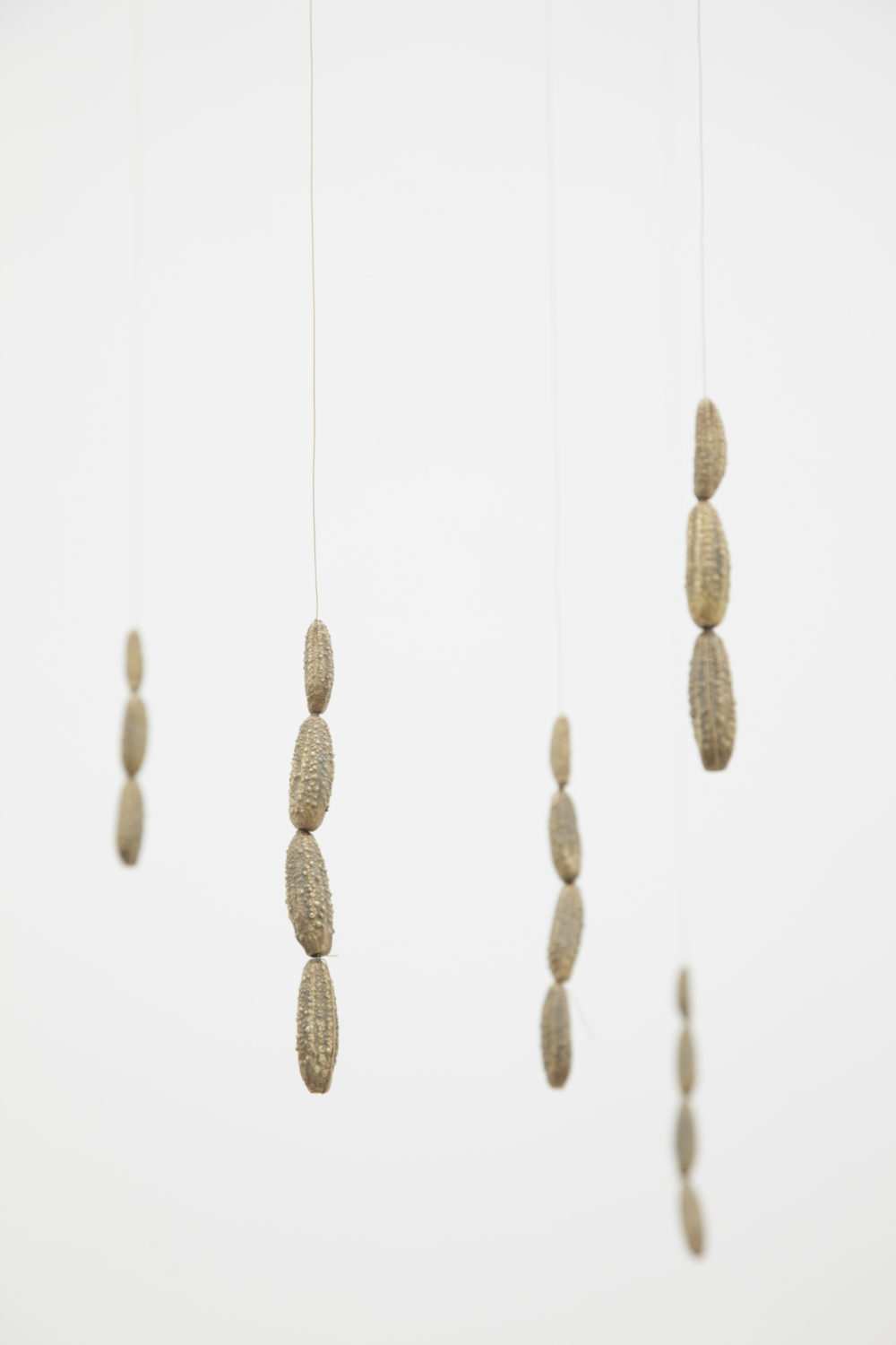 Becky Beasley, Spring Rain (2013) installation view, Spike Island, Bristol