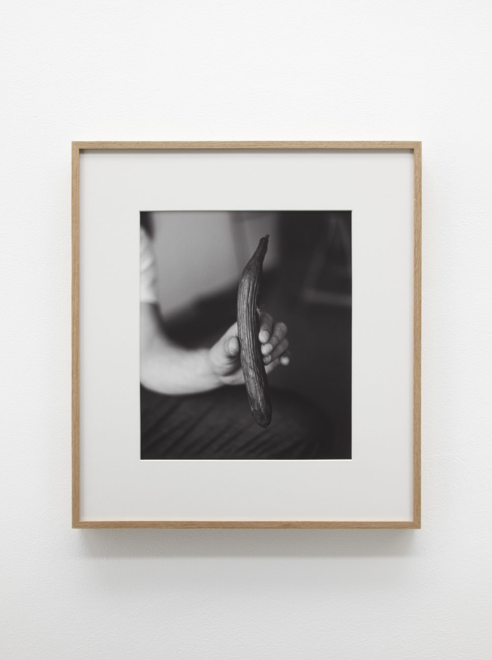 Becky Beasley, Cucumber Hand (I) (2013) installation view, Spike Island, Bristol