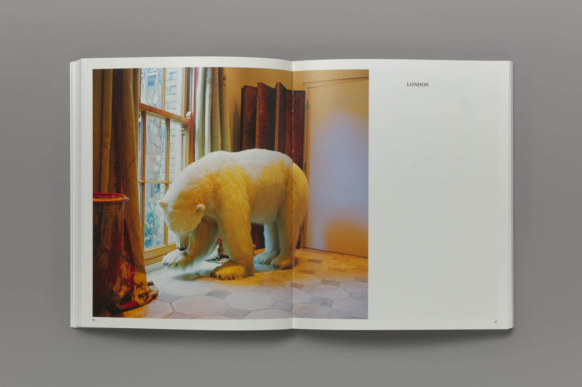 Buy the book: A Cultural Life of Polar Bears - Spike Island