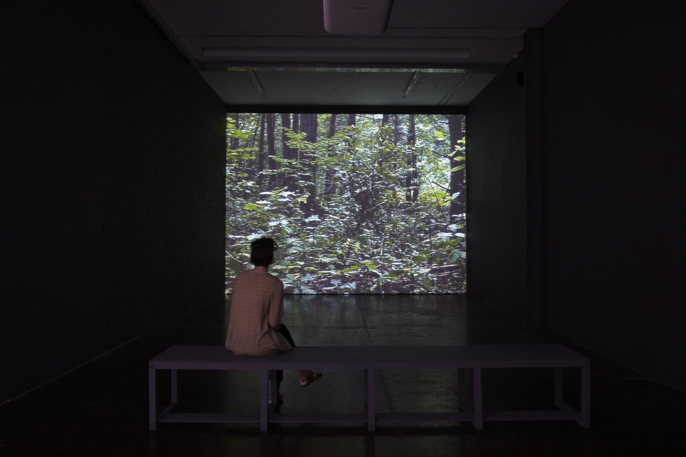 Marjolijn Dijkman Theatrum Orbis Terrarum installation view. Photograph by Stuart Whipps