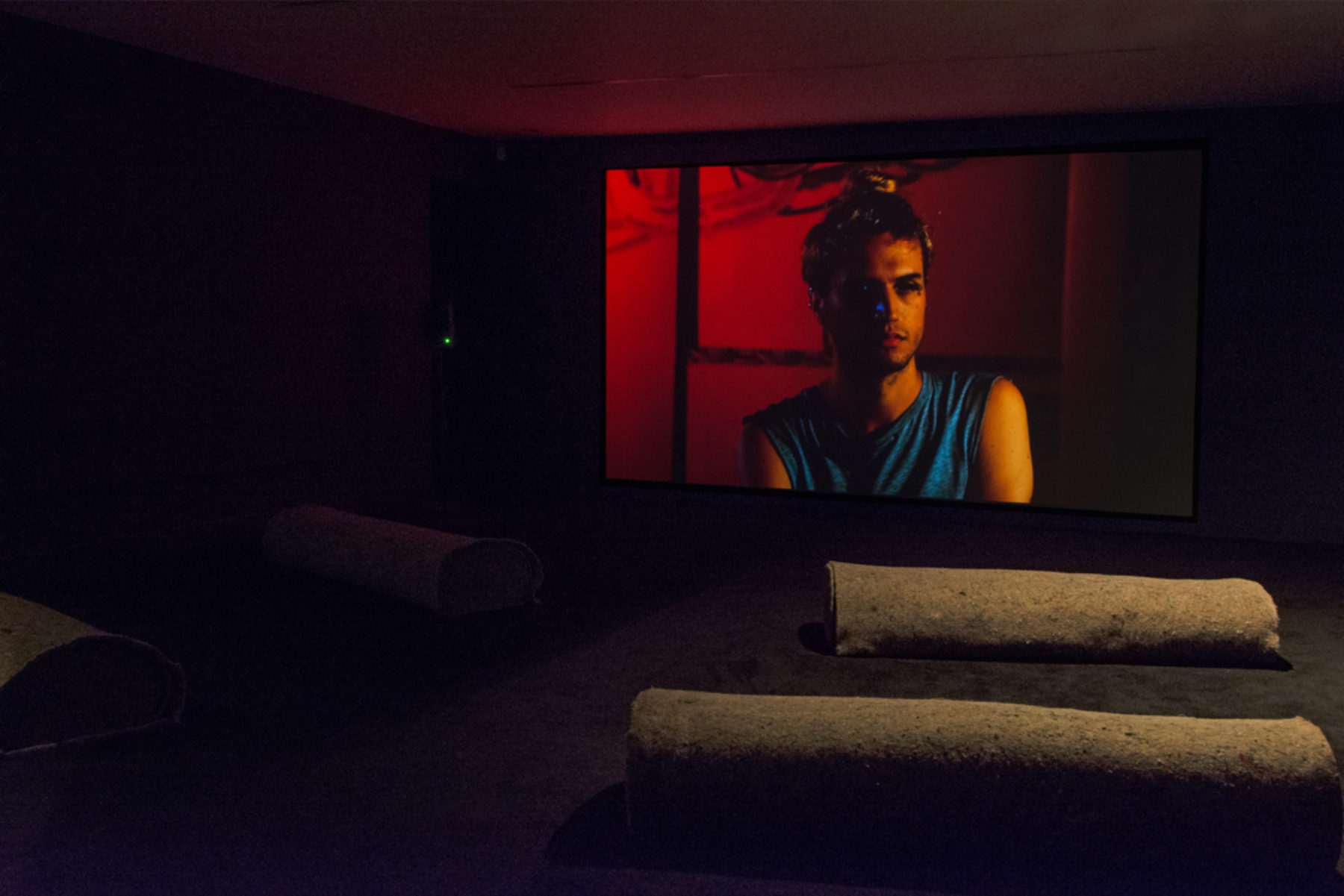 Patrick Staff, The Foundation (2015) Installation view, British Art Show 8 at Inverleith House. Photo by Michael Wolchover