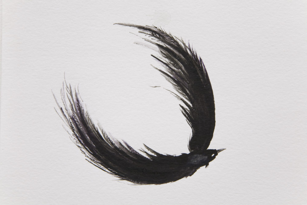 Zoe Williams The Flight of O (2010) installation view, Spike Island. Photograph by Stuart Bunce