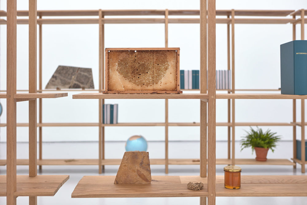 Installation view of Meriç Algün's exhibition