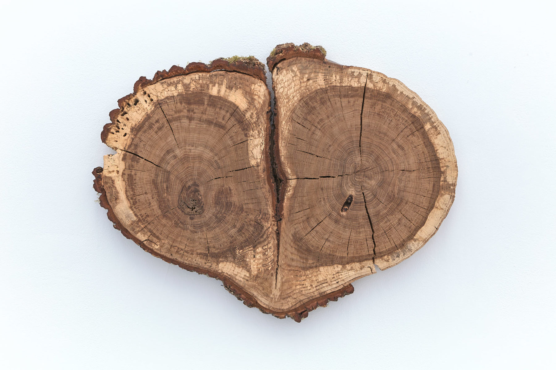 Installation view of Meriç Algün's exhibition