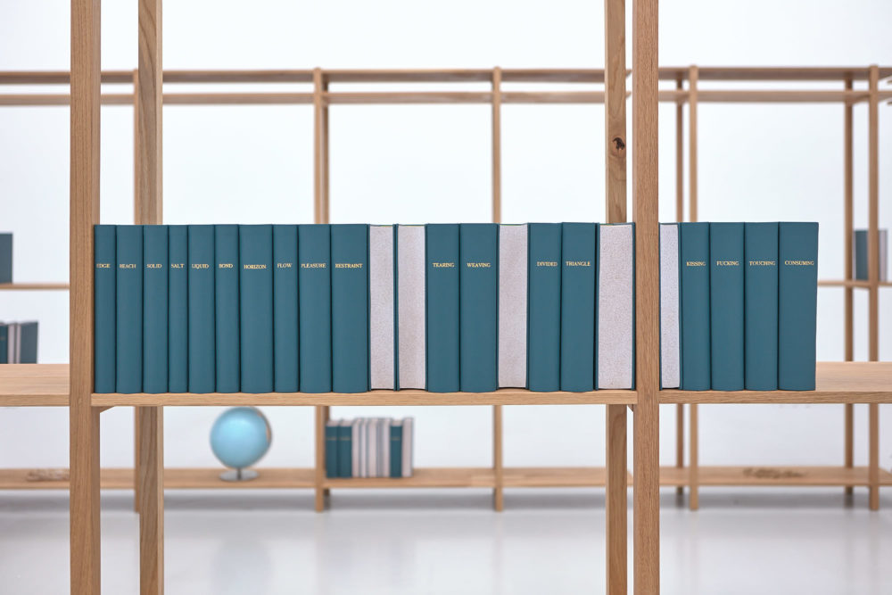 Installation view of Meriç Algün's exhibition