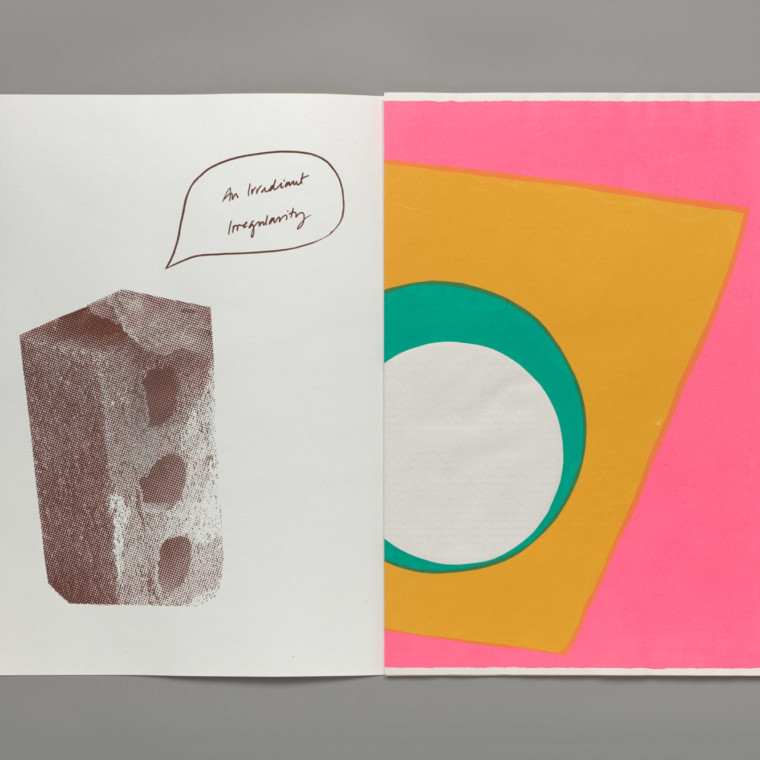 An open book. On the left page is a risographed and pixelated image of a brick with a hand-drawn speech bubble coming out of it with the words “An Irradient Irregularity” written inside it, in cursive. On the right hand page is a colourful abstract print; a white circle on top of a teal circle, on top of a cropped yellow square on a pink background.