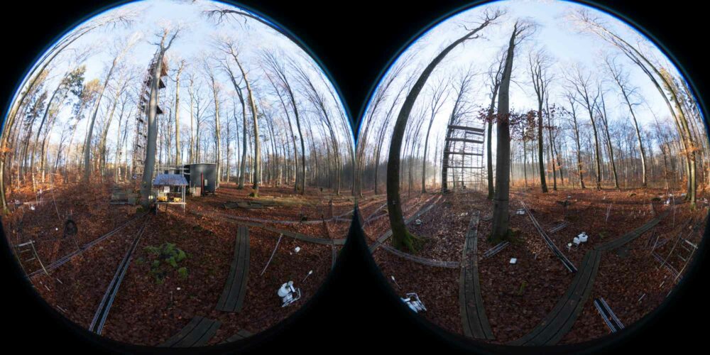 Two fisheye lenses viewing a forest scene in which ladder structures appear to be being built against trees
