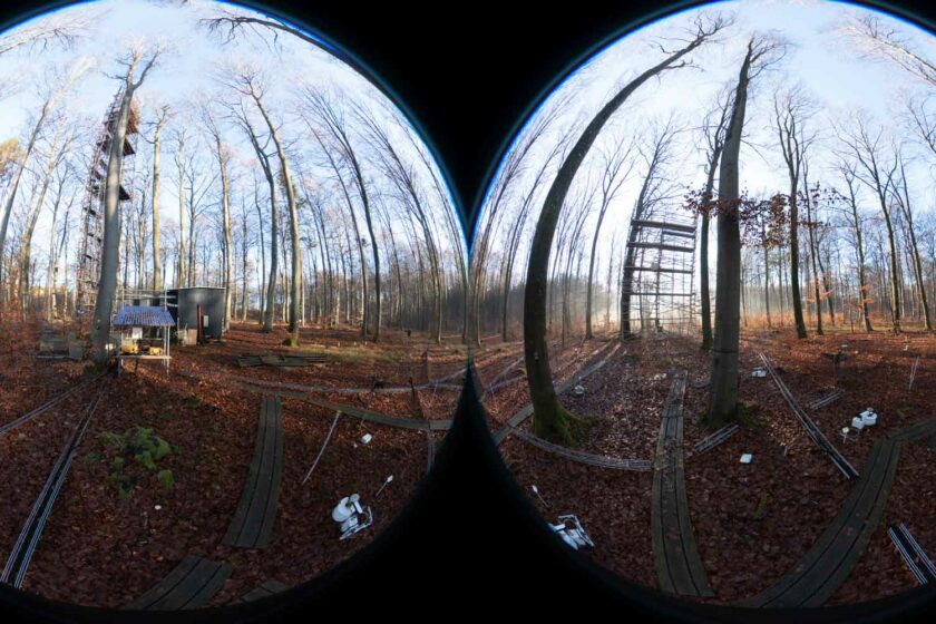 Two fisheye lenses viewing a forest scene in which ladder structures appear to be being built against trees