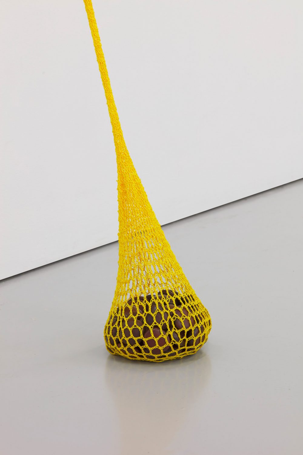 Veronica Ryan, Drift Seeds (2020). Fishing line, drift seeds.