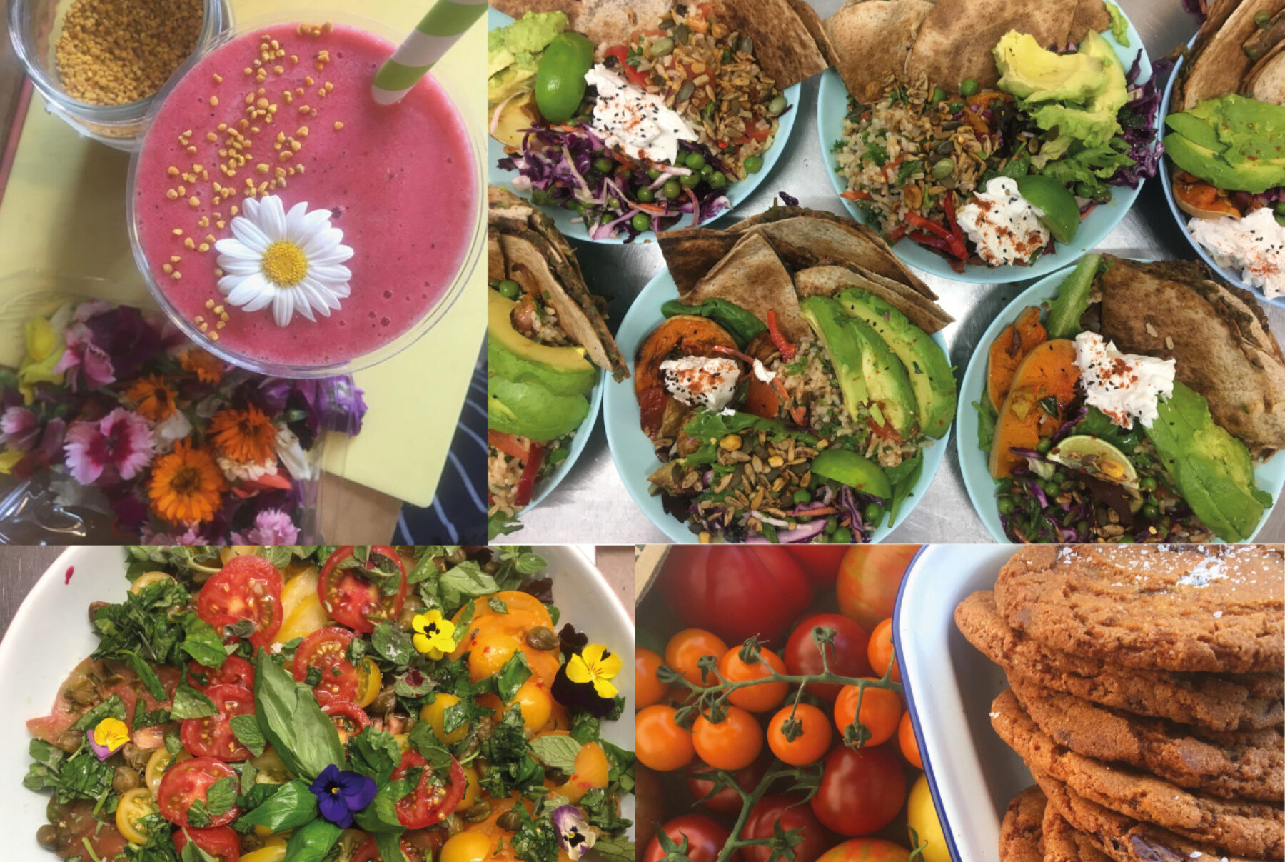 A selection of photographs taken overhead of a range of colourful food dishes, a pink juice drink with a flower floating on the top, blue plates filled with colourful salads, a bowl of red and orange tomatoes and a stack of brown cookies.