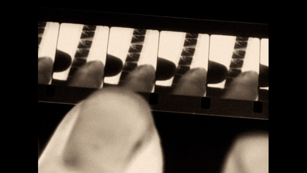 Image of Vicky Smith's work re:exposure