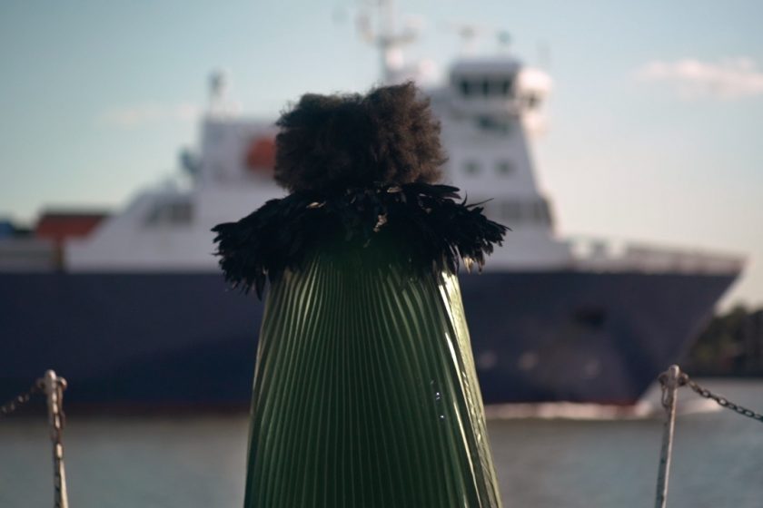Photograph of the back of a person with afro hair, wearing a shiny green cape with feathered collar, looking out across the water to a large white and dark blue bottomed ship passing by.