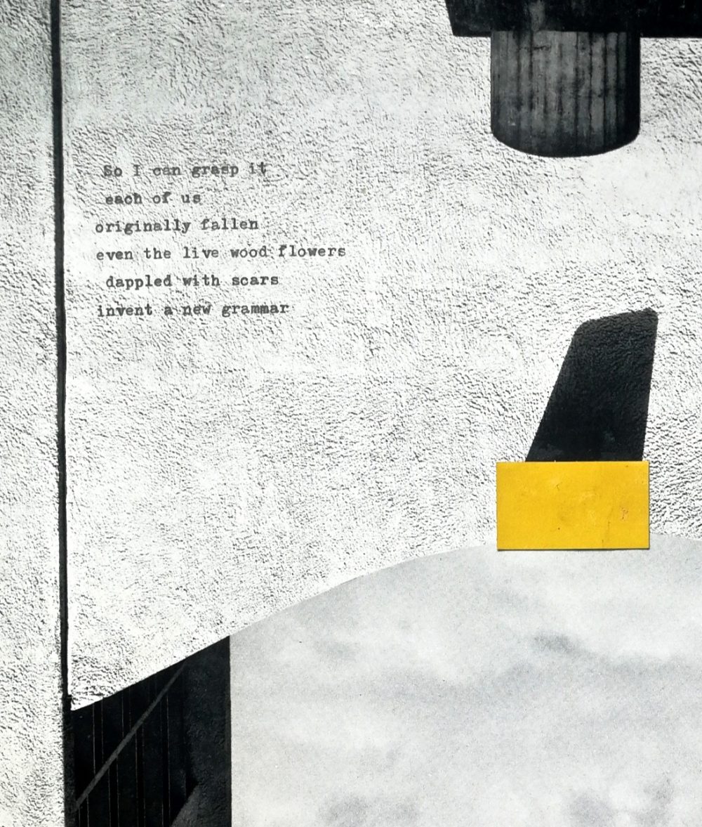Carol Laidler. a collage artwork which combines monochrome shapes cut out and placed over a grainy light grey background. There are typewriter-style printed words which read: So I can grasp it each of us originally fallen even the live wood flowers dappled with scars invent a news grammar.