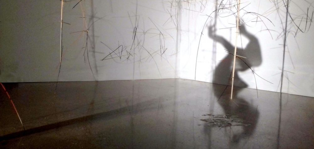 Fiona Carruthers. In the corner of a room filled with thin hanging and criss-crossing structures a shadow of a human is cast upon the wall, they are bending forward and have their arms flung high behind them