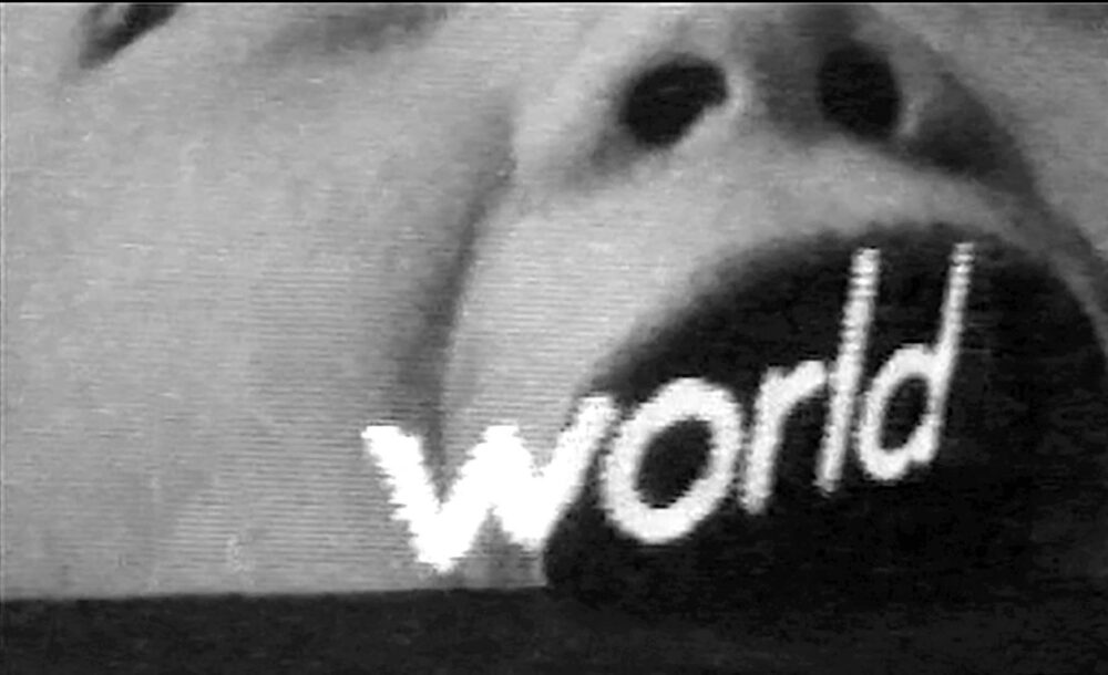 Peggy Ahwesh, The Scary Movie, 1993