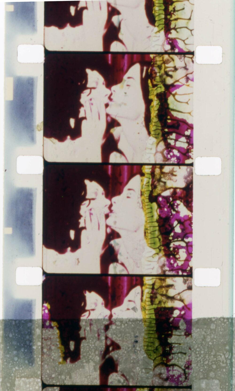 Peggy Ahwesh, The Color of Love (1994)