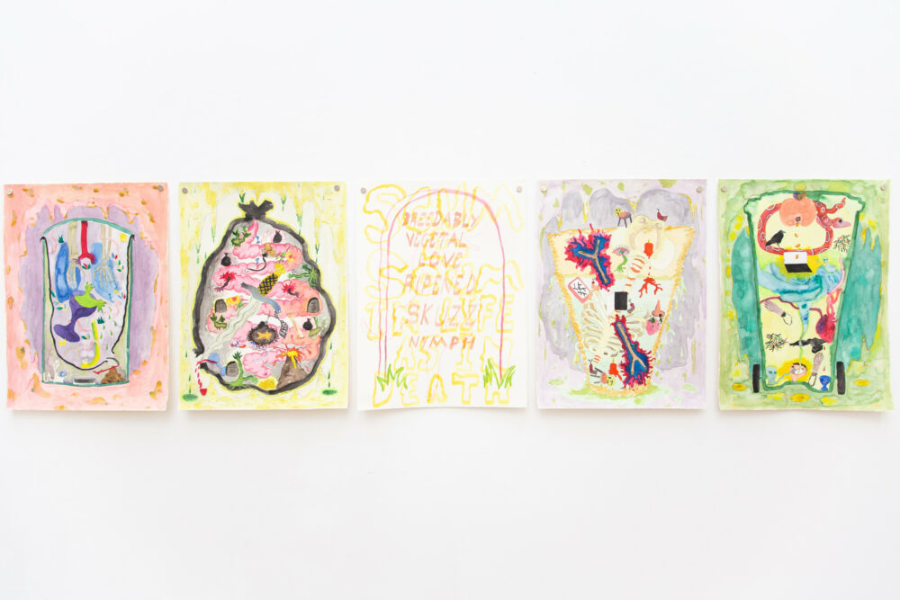 An image of 5 watercolour paintings pinned next to each other in a line onto a white wall.