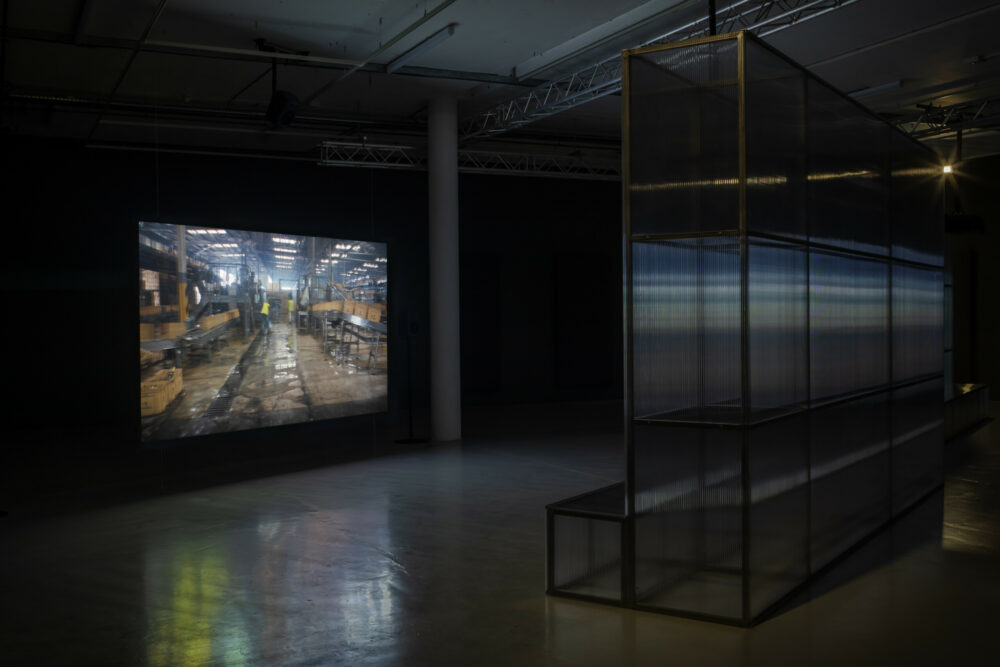 A photograph of the film installation of 'The Fist' in Spike Island's galleries.