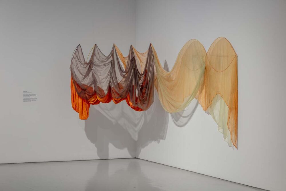 Rosemary Mayer installation photograph