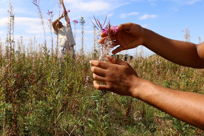 Adham Faramawy, The air is subtle, various and sweet, film still