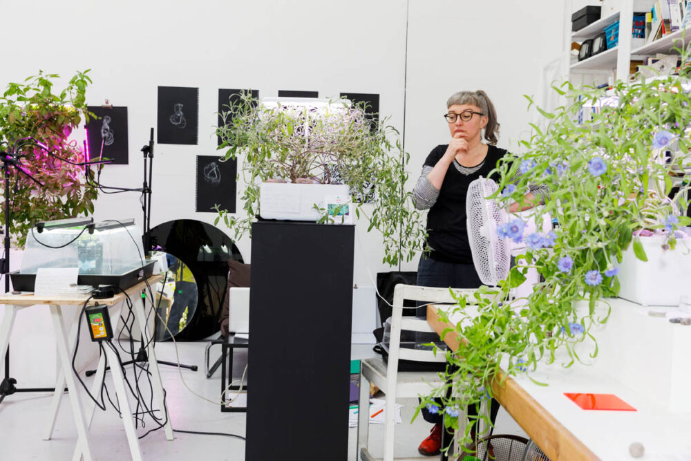 A photograph of plants growing in an artist's studio.