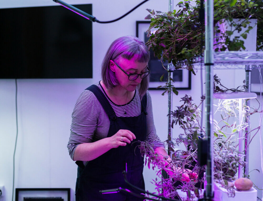 A photograph of woman tending to plants in her artist studio.