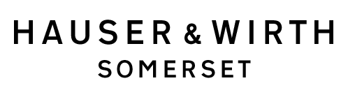 not large logo