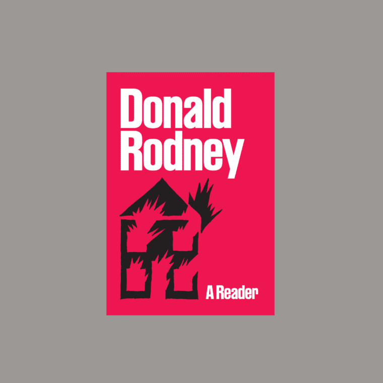 Donald Rodney: A Reader