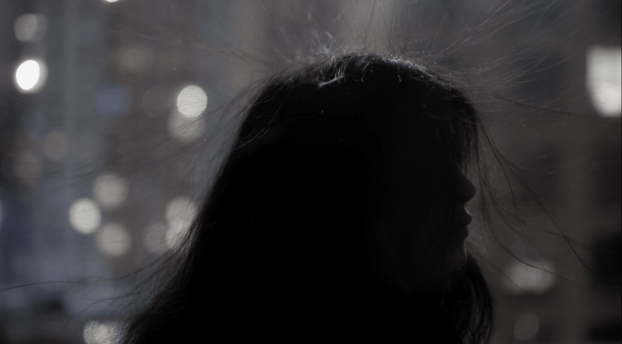 Featured exhibitions Tohé Commaret Mijitas