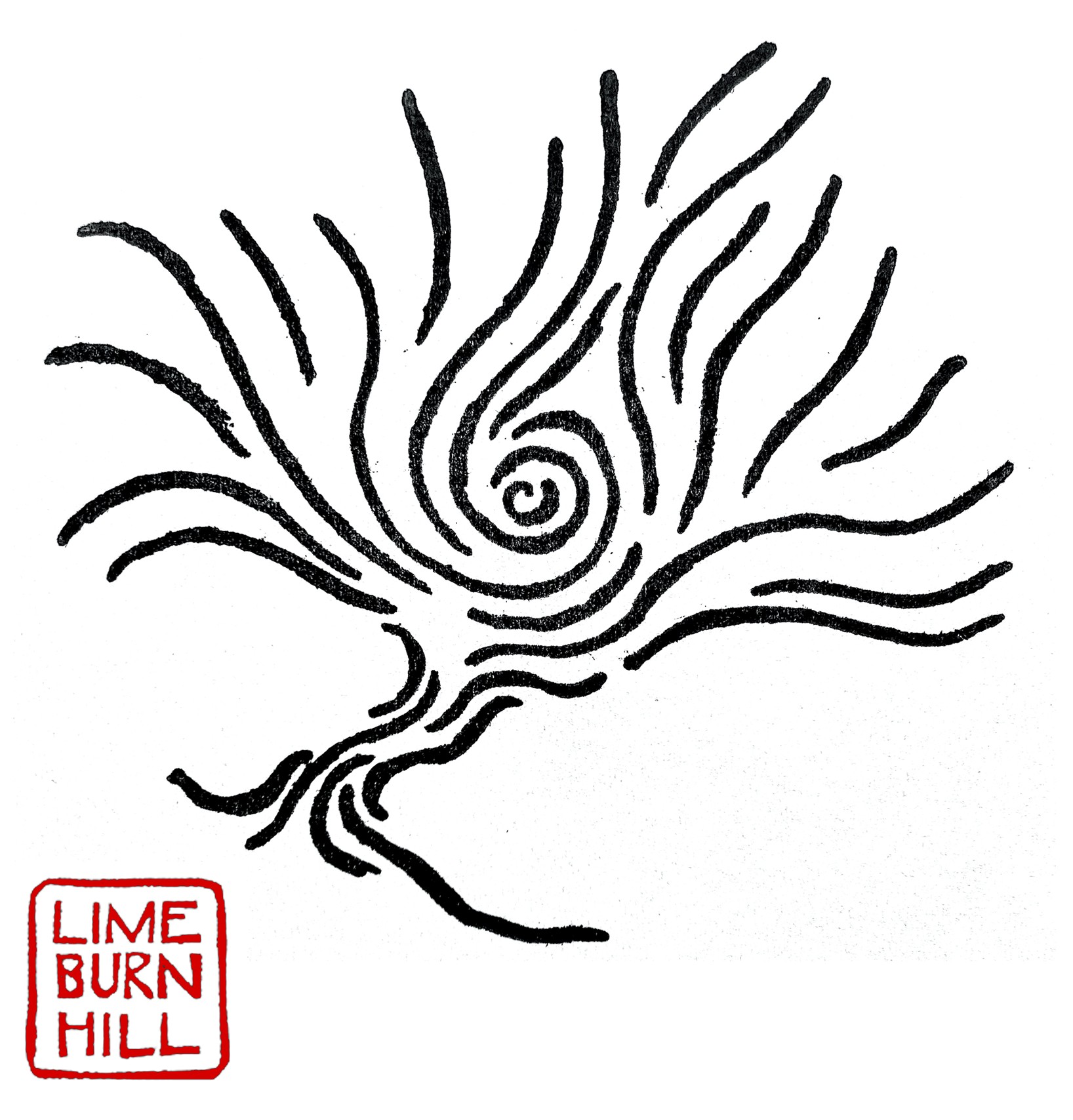 not large logo
