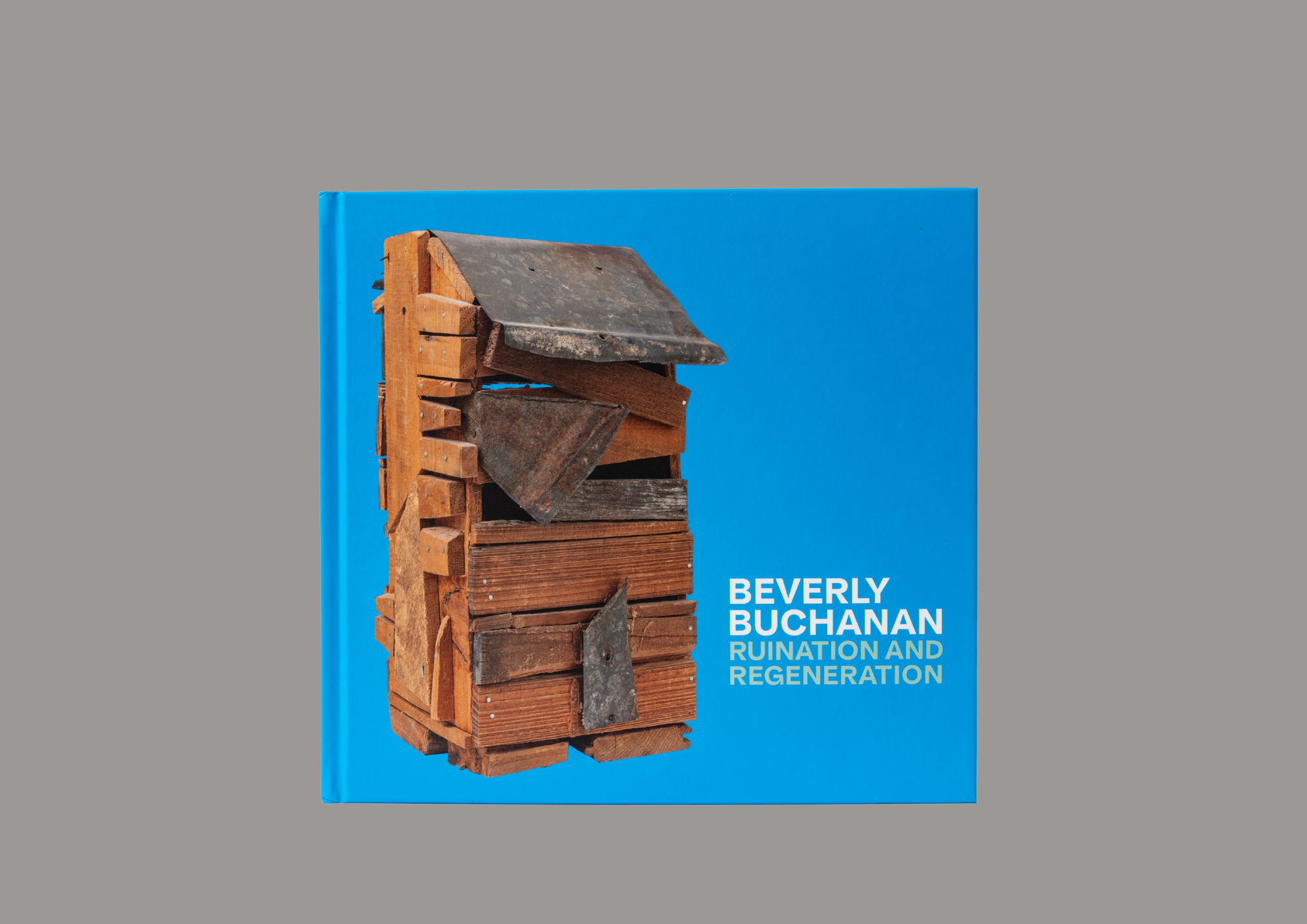Beverly Buchanan: Ruination and Regeneration