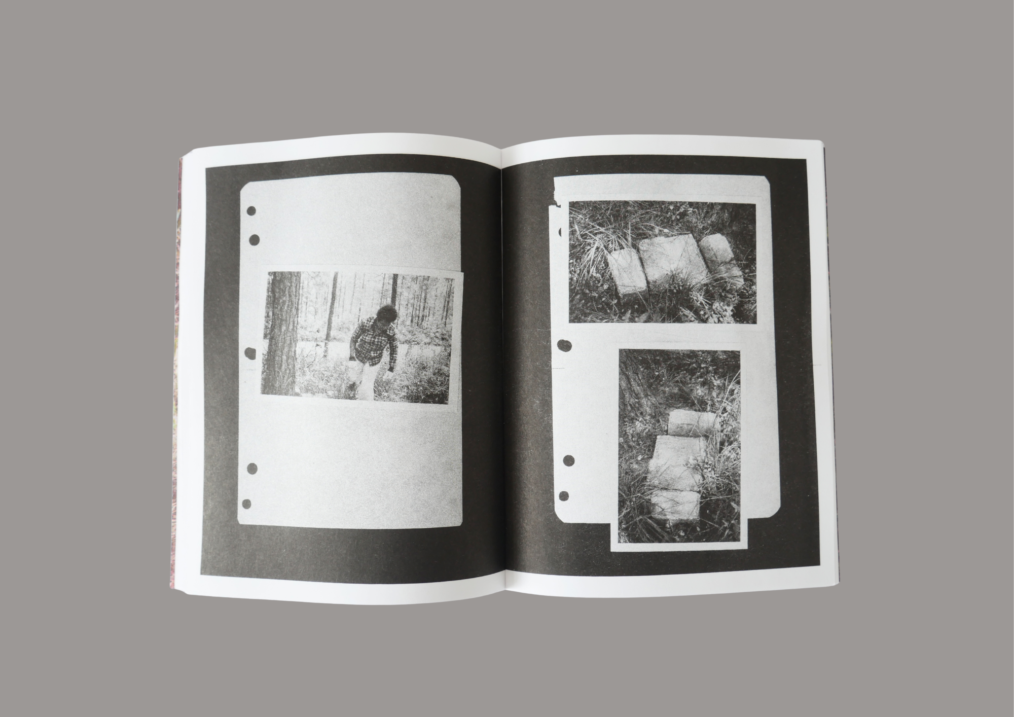 Divination: Beverly Buchanan & Dionne Lee - Image 2