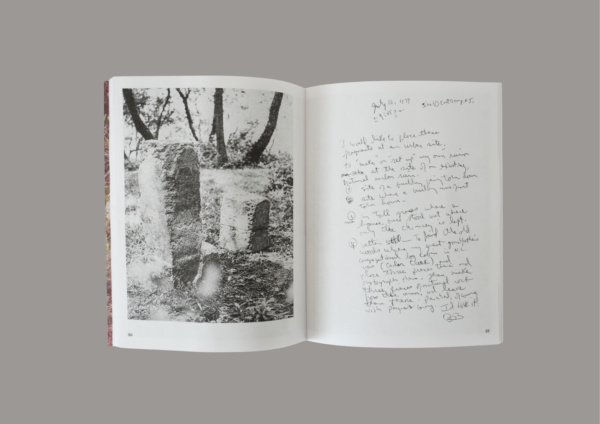 Divination: Beverly Buchanan & Dionne Lee - Image 3