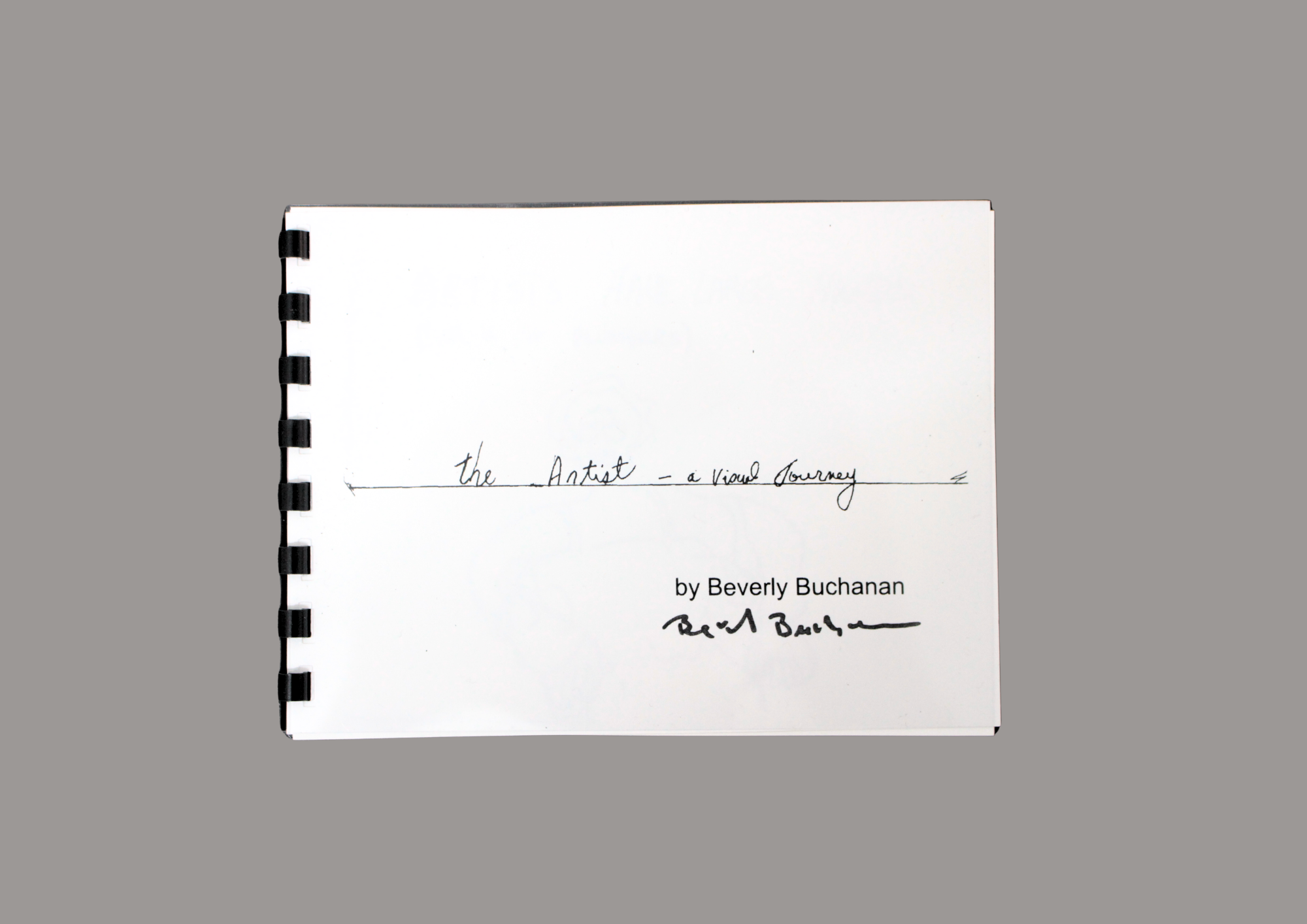 Beverly Buchanan, The Artist — A Visual Journey