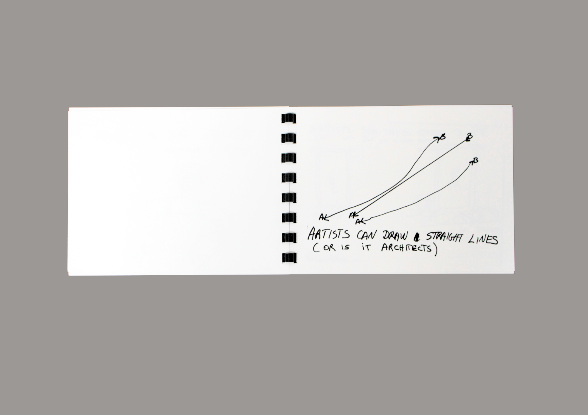 Beverly Buchanan, The Artist — A Visual Journey - Image 2