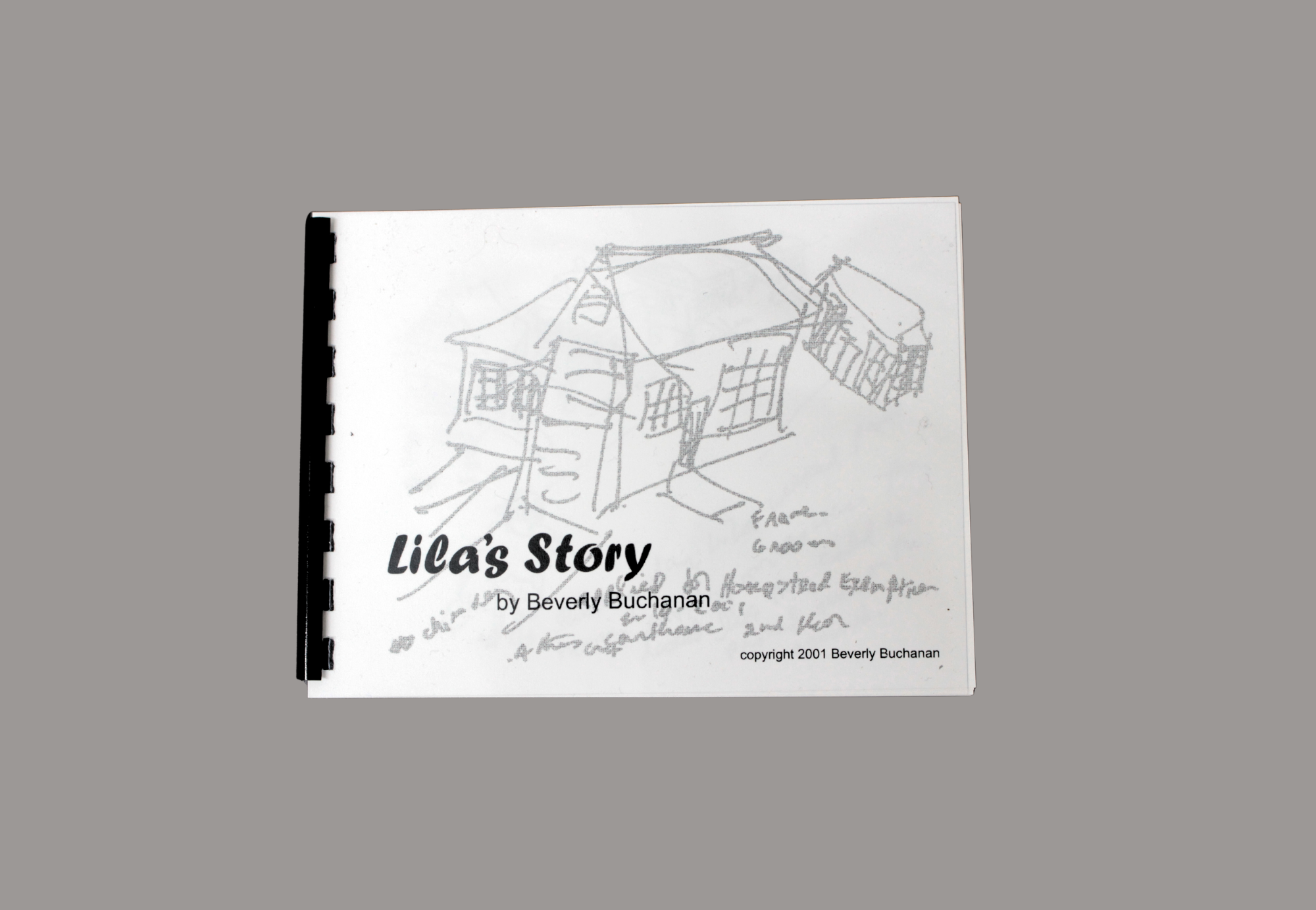 Beverly Buchanan, Lila's Story