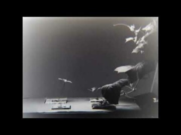 Katy Connor: Studio 94b