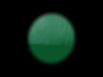 Laura Phillips: Studio 80b