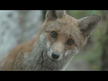 Bryony Gillard: Studio 80a